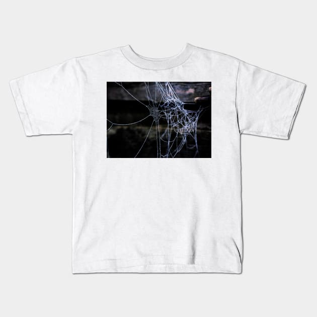 Frozen Webs 1 Kids T-Shirt by arc1